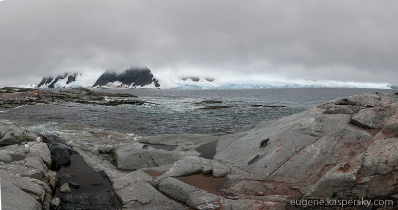 Petermann-Island-landing3-3-22